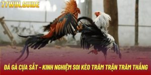 Đá Gà Cựa Sắt - Kinh Nghiệm Soi Kèo Trăm Trận Trăm Thắng