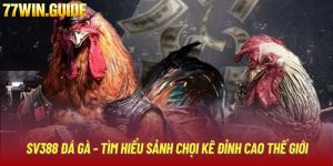 SV388 Đá Gà - Tìm Hiểu Sảnh Chọi Kê Đỉnh Cao Thế Giới