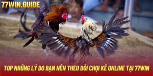 Đá gà cựa dao trực tiếp - Hình thức giải trí cực hot 2024