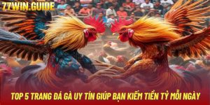 Top 5 Trang Đá Gà Uy Tín Giúp Bạn Kiếm Tiền Tỷ Mỗi Ngày