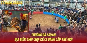 Trường Gà Savan - Địa Điểm Chơi Chọi Kê C1 Đẳng Cấp Thế Giới